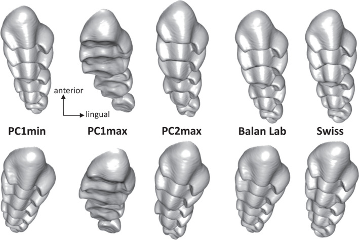 FIGURE 9