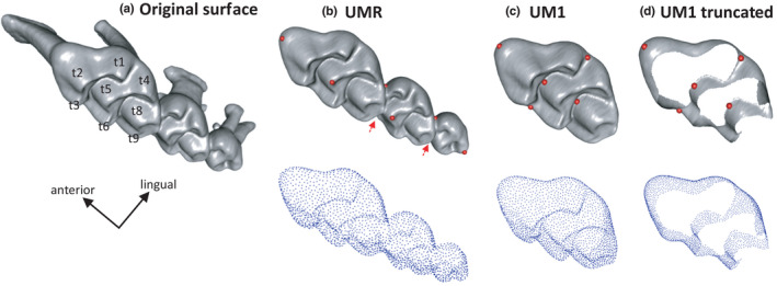 FIGURE 1