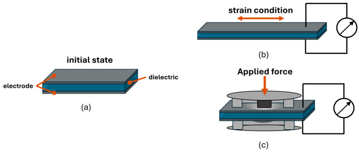 スマートテキスタイルと物体表面 ― 軽量エラストマーフィルムで技術を実現 (Smart textiles and surfaces – How lightweight elastomer films are bringing tech to life)