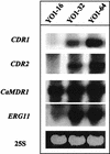 FIG. 4.