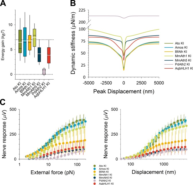 Figure 4—figure supplement 1.