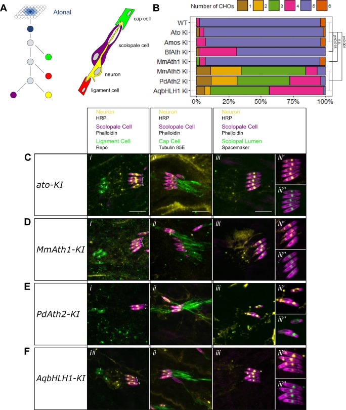 Figure 3.