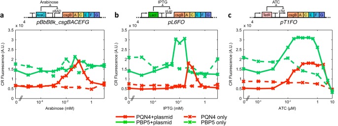 FIG 6