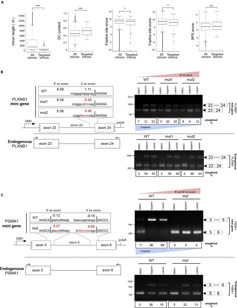 Figure 6