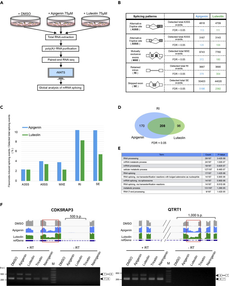 Figure 4