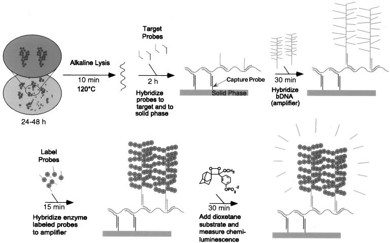 FIG. 1