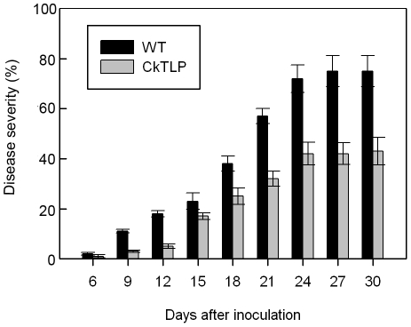 Figure 10