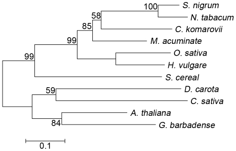 Figure 6