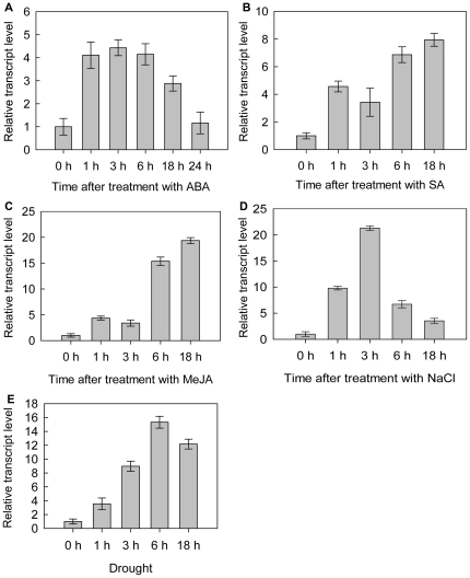 Figure 7