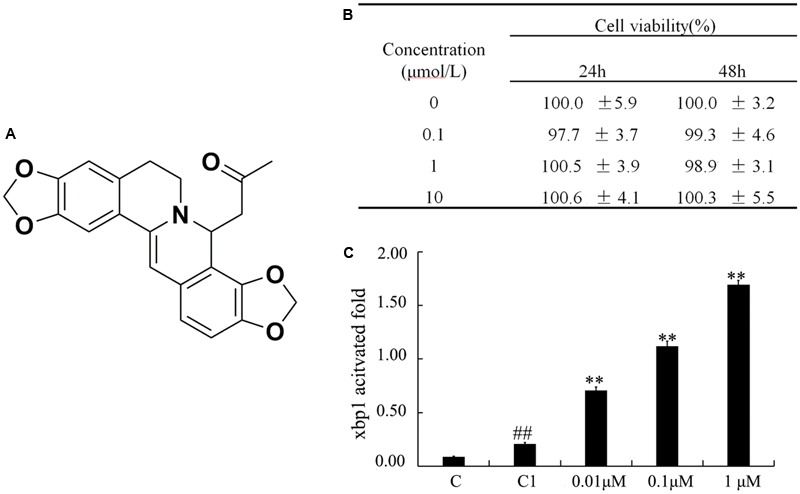 FIGURE 1