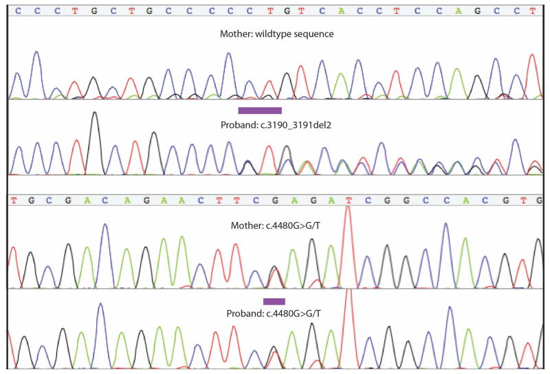 FIG. 3