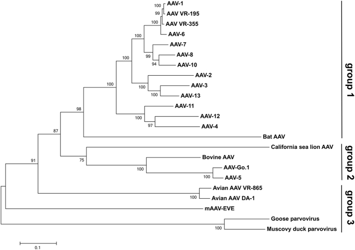 Figure 7