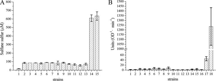 FIG 3