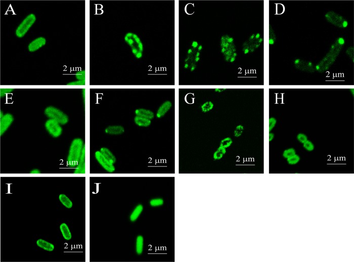 FIG 6