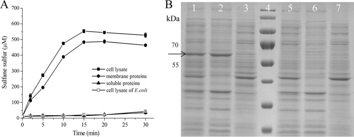 FIG 2