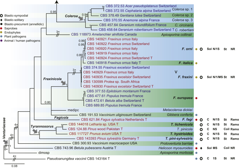 Fig 2