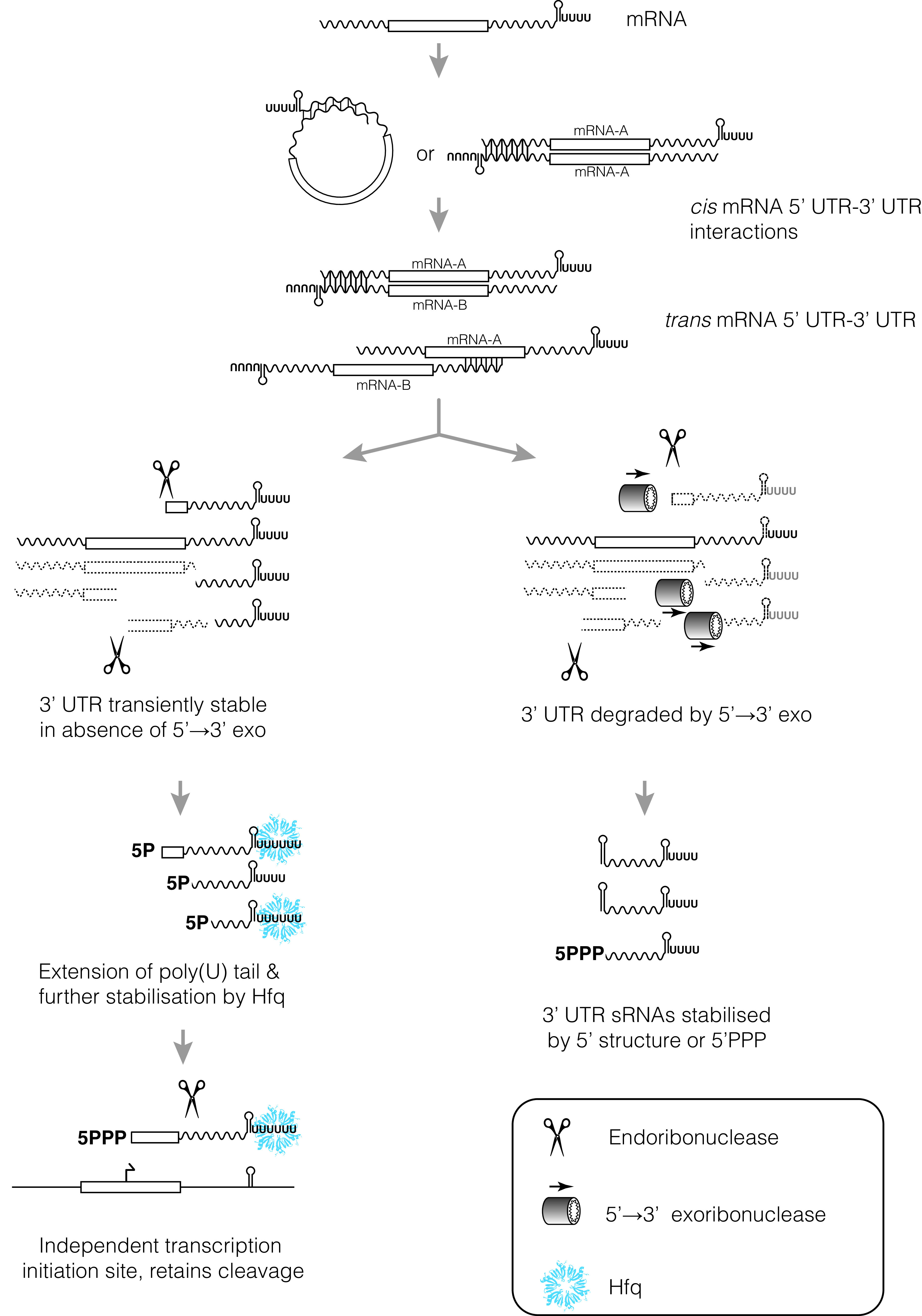 FIG 1