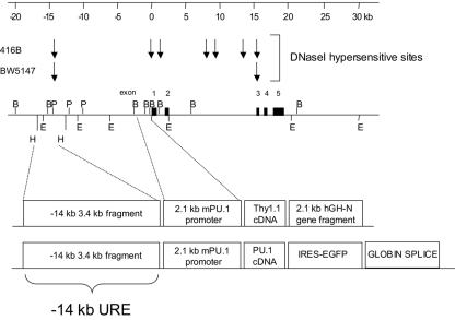 FIG. 1.