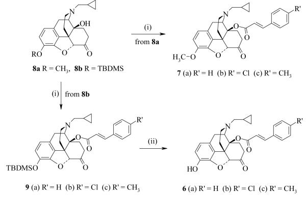 Scheme 1