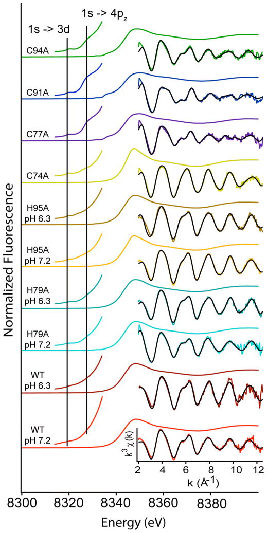 Figure 7