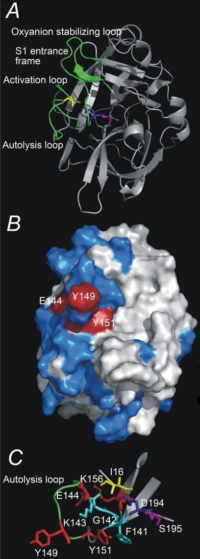 FIGURE 1.