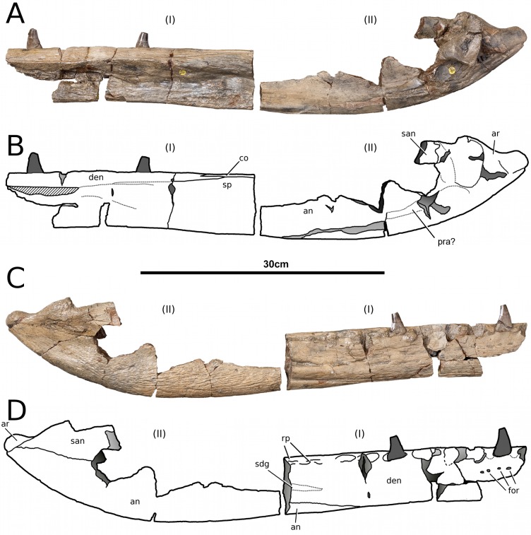 Figure 17