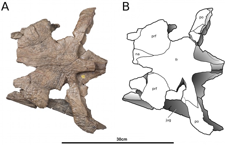 Figure 9