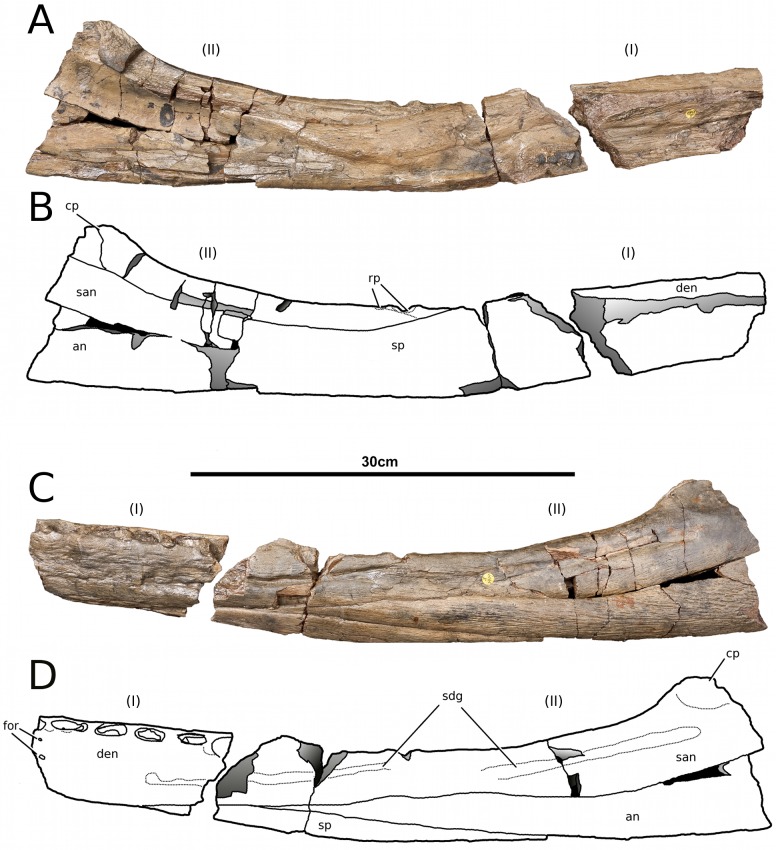 Figure 16