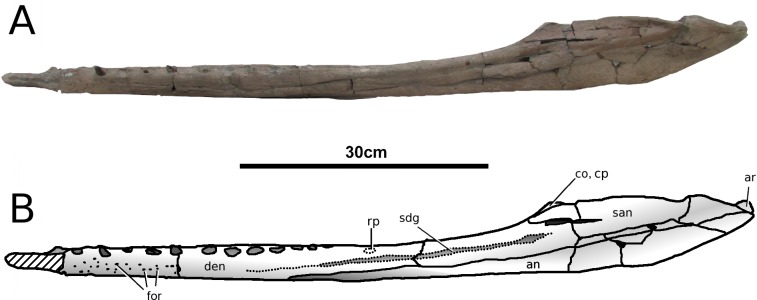 Figure 15