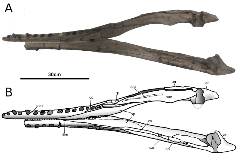 Figure 13