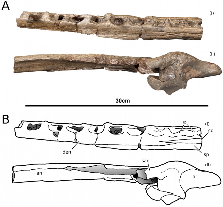 Figure 19