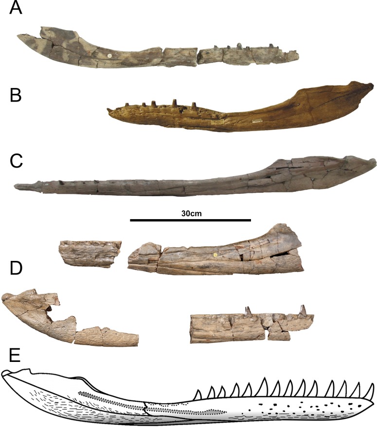 Figure 21