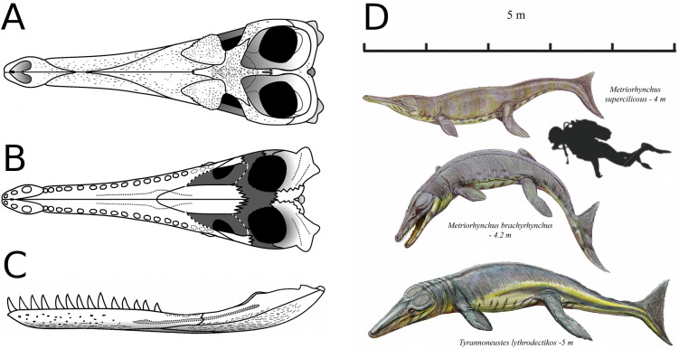 Figure 22