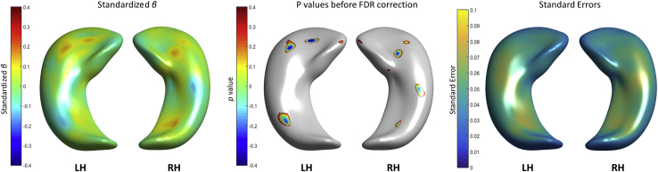 Fig. 6