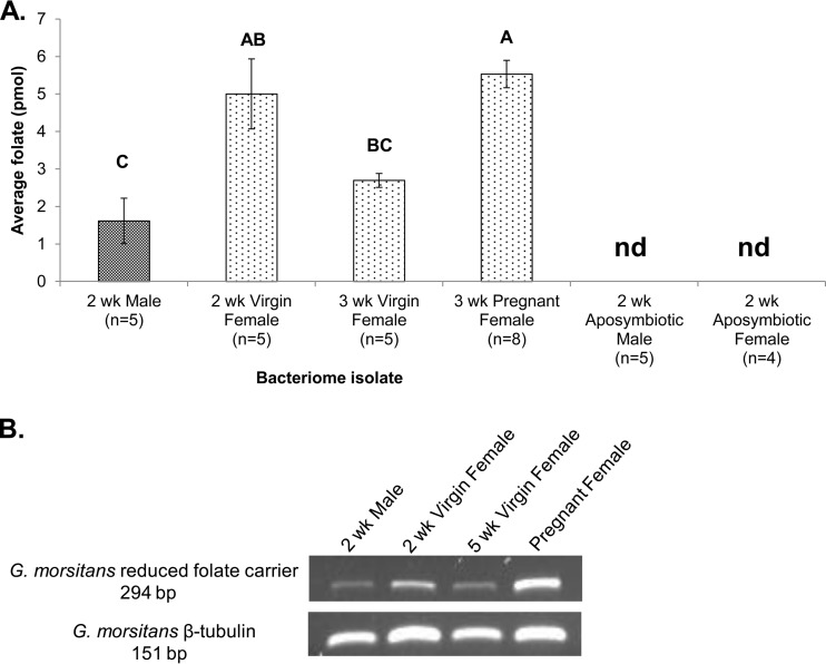 FIG 2