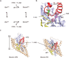 Figure 1—figure supplement 1.