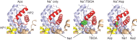 Figure 1—figure supplement 2.