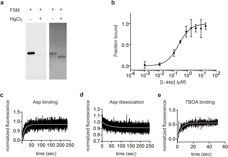 Figure 1—figure supplement 3.