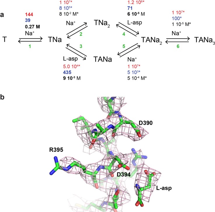 Figure 5—figure supplement 1.