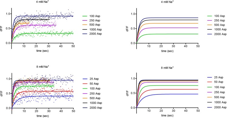 Figure 5—figure supplement 2.