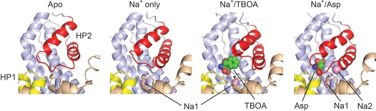 Figure 1—figure supplement 2.