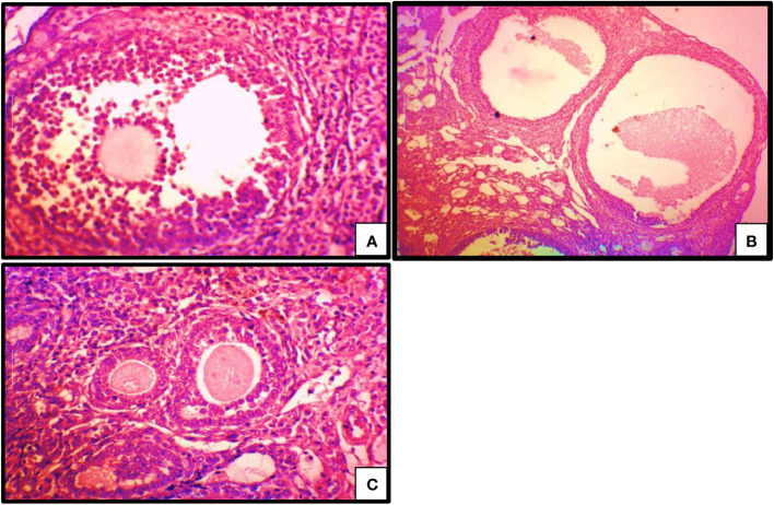 Figure 7