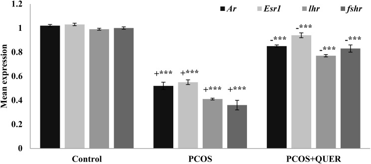 Figure 6