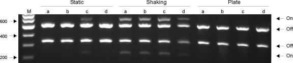 FIG. 5.