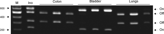 FIG. 9.