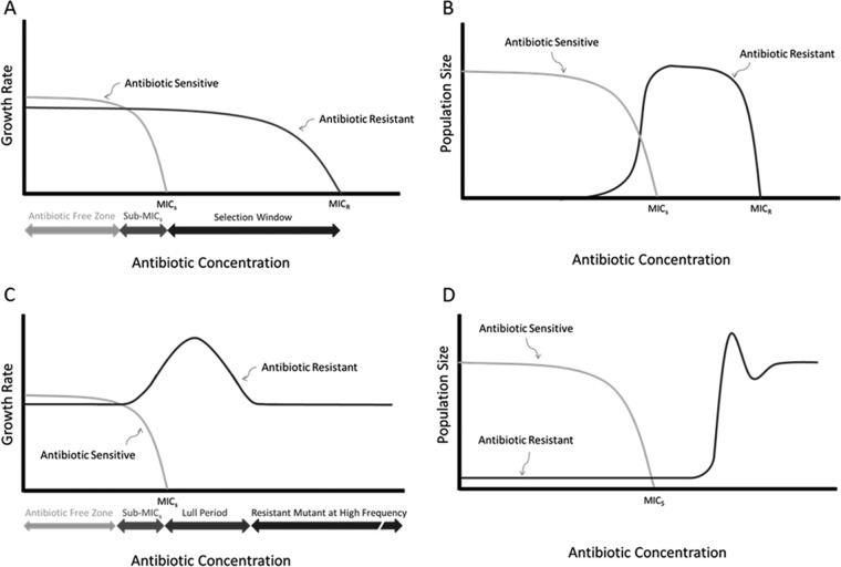 FIG 3