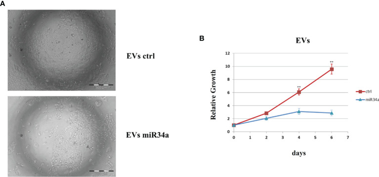 Figure 6