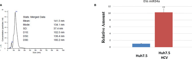 Figure 5