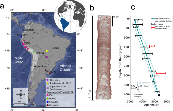 Fig. 1