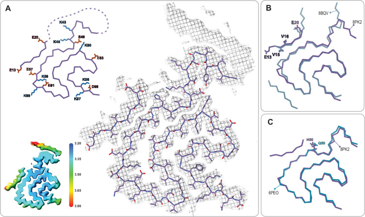 Figure 6.